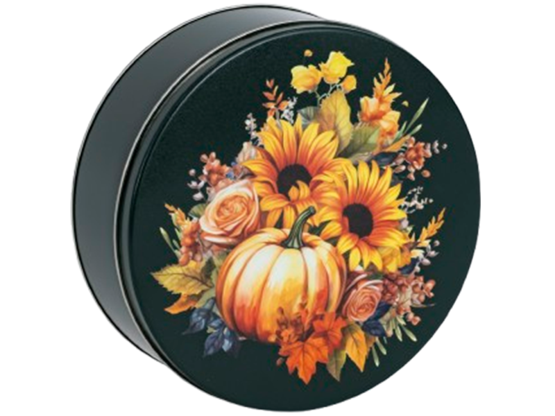 Unique Snacks Autumn 24 Count collectible gift tin filled with chocolate covered pretzels