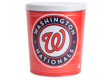 Washington Nationals Tin