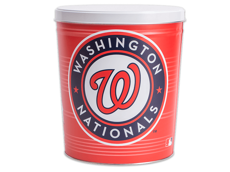 Washington Nationals Tin image 0