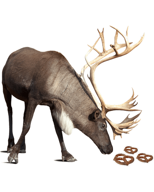 Local notoriety grows when Paul Spannuth builds...