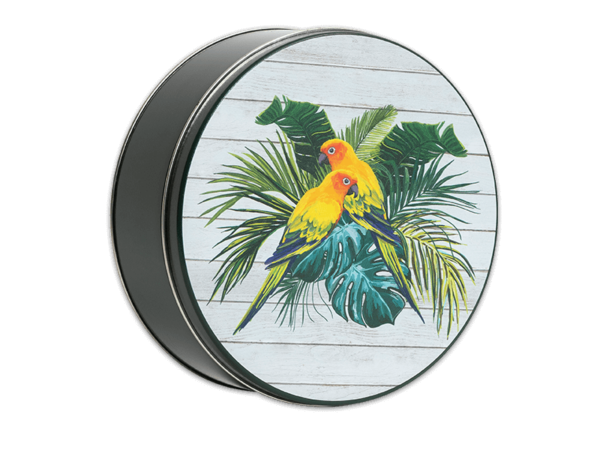 24-count parrot dise tin with light blue lid and exotic birds of different colors on lid